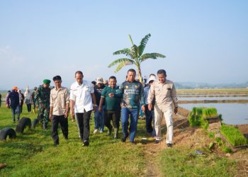 Dorong Pertanian Modern, Pringsewu Luncurkan Corporate Farming