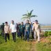 Dorong Pertanian Modern, Pringsewu Luncurkan Corporate Farming