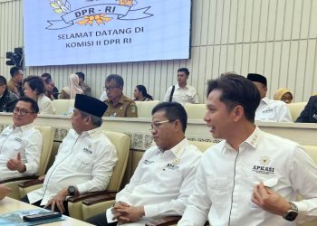 Hadiri RDPU Komisi II DPR RI, Bupati Egi Dorong Solusi untuk PPPK dan Honorer