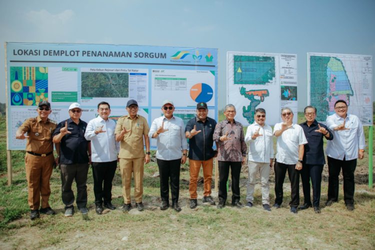Rahmat Mirzani Djausal Dampingi Wamen Investasi Tinjau Calon Pabrik Bioetanol di Tegineneng