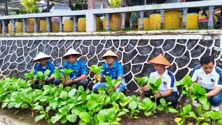 Kalapas Beni Nurrahman Pimpin Panen Sawi Bersama Warga Binaan Lapas Kalianda
