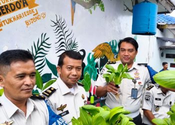 Lapas Kalianda Sukses Panen Pakcoy, Wujud Nyata Pembinaan Produktif dan Kemandirian