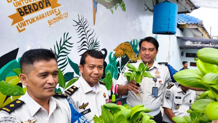 Lapas Kalianda Sukses Panen Pakcoy, Wujud Nyata Pembinaan Produktif dan Kemandirian