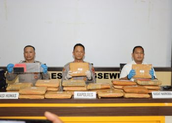 Kurir Ganja 24 Kilogram Dibekuk di Pringsewu, Polisi Bongkar Dugaan Jaringan Lintas Provinsi