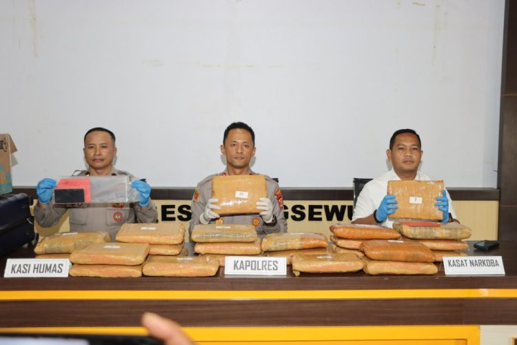 Kurir Ganja 24 Kilogram Dibekuk di Pringsewu, Polisi Bongkar Dugaan Jaringan Lintas Provinsi