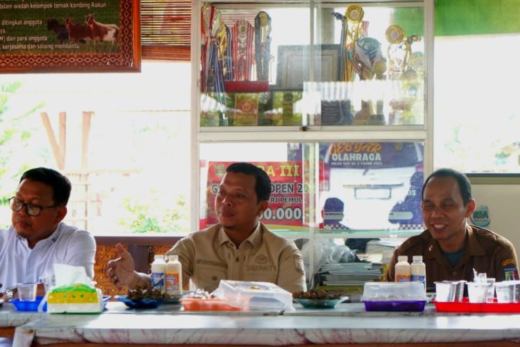 Kunjungi Peternak Kambing Perah, Bupati Pringsewu Dorong Peningkatan Produksi dan Pasar Susu