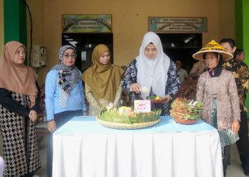 Ratusan Lansia Meriahkan Peringatan Hari Lansia Nasional ke-30 di Pringsewu