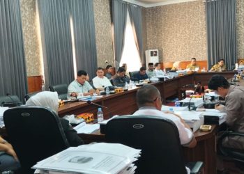 Evaluasi APBD 2025, DPRD Lampung Selatan Minta Program UMKM Berdampak Nyata bagi PAD