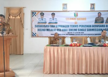 Pemkab Tanggamus Perkuat Pelayanan Perizinan, Hendra Wijaya Mega Resmikan Bimtek OSS-RBA