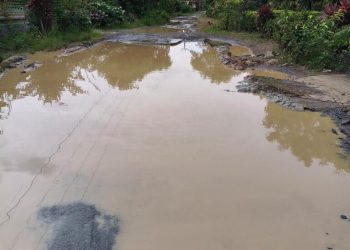 PAD Way Kanan Hampir Tembus Rp100 Miliar, Mengapa Jalan Rusak Masih Jadi Keluhan Warga?