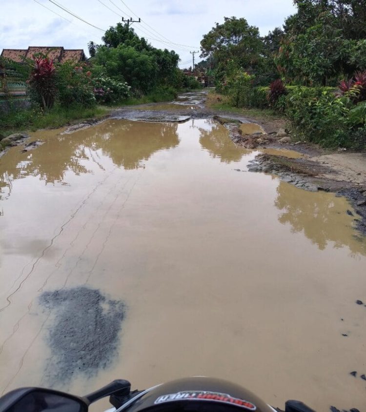 PAD Way Kanan Hampir Tembus Rp100 Miliar, Mengapa Jalan Rusak Masih Jadi Keluhan Warga?
