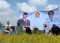 Hadiri Syukuran Panen Padi di Natar, Ketua DPRD Lampung Selatan Tegaskan Komitmen Tingkatkan Kesejahteraan Petani