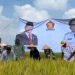 Hadiri Syukuran Panen Padi di Natar, Ketua DPRD Lampung Selatan Tegaskan Komitmen Tingkatkan Kesejahteraan Petani