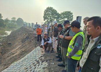 Way Kambas Menuju Pusat Konservasi Gajah Dunia, Tim Internasional Cek Progres Pembangunan