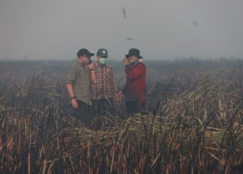 Kebakaran Braja Harjosari Mengarah ke TN Way Kambas, Tim Gabungan Bergerak Cegah Api Meluas
