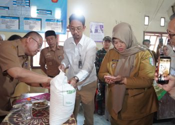 Umi Laila Serahkan Bantuan Beras, 572 Warga Pekon Blitarejo Terima 30 Kg