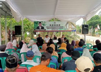 Reses Bambang Kurniawan di Adiluwih Diwarnai Cek Kesehatan Gratis dan Pembagian Bibit Alpukat