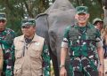 Way Kambas Ubah Cara Hadapi Gajah: Lebah Jadi Penjaga, Mahot Belajar ke Thailand
