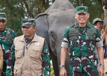 Way Kambas Ubah Cara Hadapi Gajah: Lebah Jadi Penjaga, Mahot Belajar ke Thailand