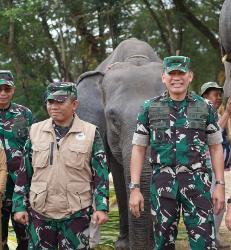 Way Kambas Ubah Cara Hadapi Gajah: Lebah Jadi Penjaga, Mahot Belajar ke Thailand