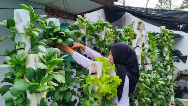 Berkebun Kreatif dengan Vertikultur, Lahan Terbatas Tetap Produktif