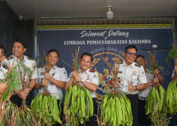 Hasil Pembinaan Mulai Terlihat, WBP Lapas Kalianda Panen Pete dan Pare