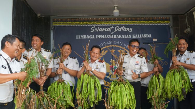 Hasil Pembinaan Mulai Terlihat, WBP Lapas Kalianda Panen Pete dan Pare