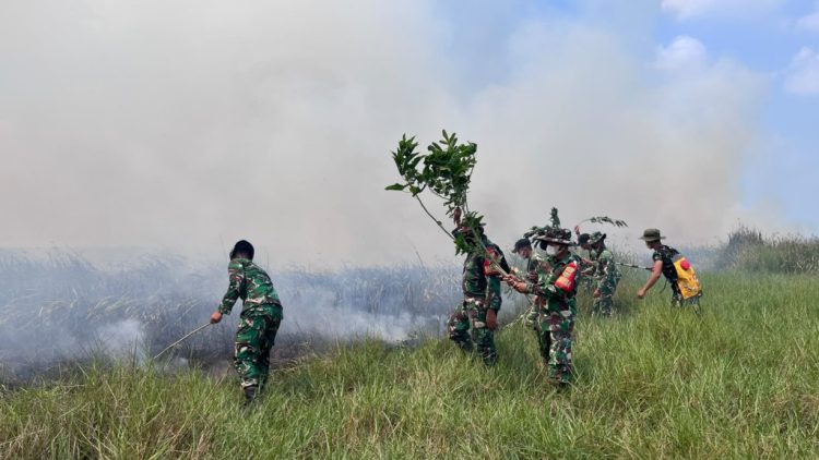 Api Mengancam Way Kambas, Komite Bergerak: Logistik, Pompa, Embung dan Sumur Bor Disiapkan