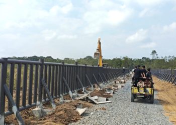 Way Kambas Berbenah, Pagar Besi untuk Cegah Konflik Gajah-Masyarakat Capai 75 Persen