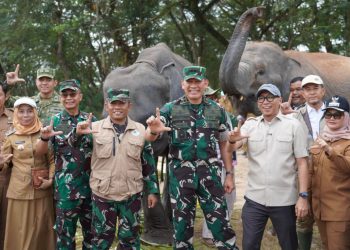Gubernur dan Pangdam Cek Way Kambas Pascakarhutla, Kondisi Gajah Sumatra Bikin Lega
