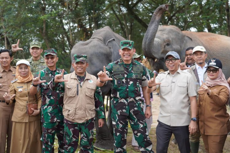 Gubernur dan Pangdam Cek Way Kambas Pascakarhutla, Kondisi Gajah Sumatra Bikin Lega
