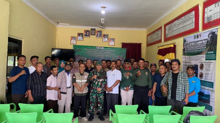 Gajah Tak Disakiti, Warga Dapat Cuan: Pagar Lebah Jadi Strategi Baru di TNWK