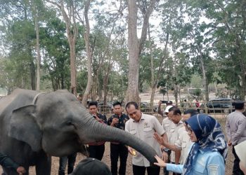 Karhutla TNWK Jangan Terulang, Komisi IV DPR RI Desak Penguatan Deteksi Dini