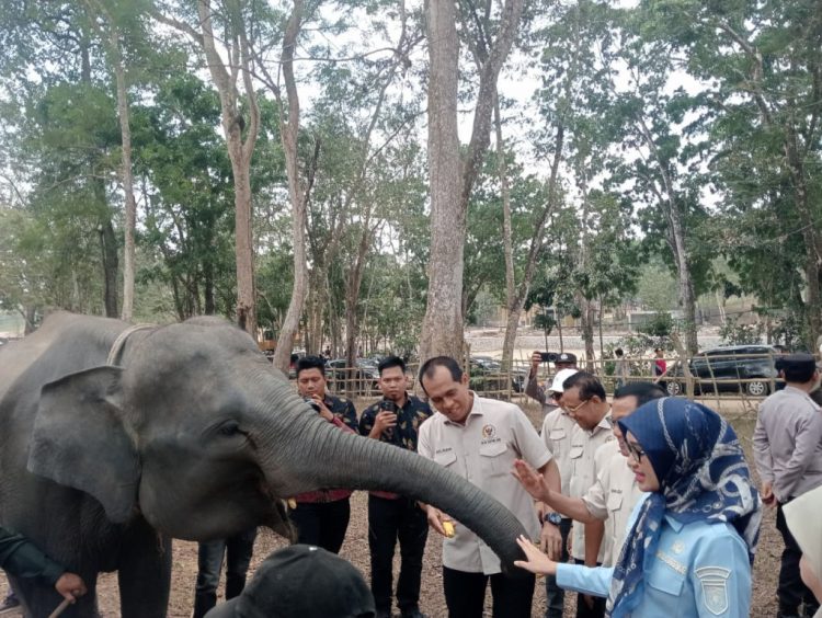 Karhutla TNWK Jangan Terulang, Komisi IV DPR RI Desak Penguatan Deteksi Dini