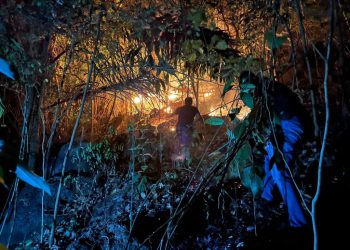 Medan Ekstrem, Petugas Jalan Kaki Jinakkan Kebakaran Lahan di Perbukitan Parerejo