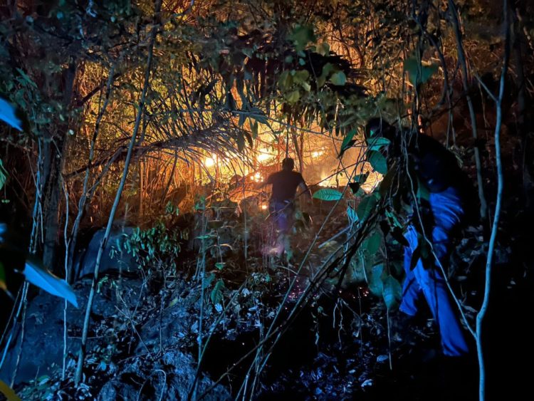 Medan Ekstrem, Petugas Jalan Kaki Jinakkan Kebakaran Lahan di Perbukitan Parerejo