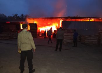 Api Mengamuk Saat Subuh, Pabrik Palet Kayu di Gadingrejo Hangus
