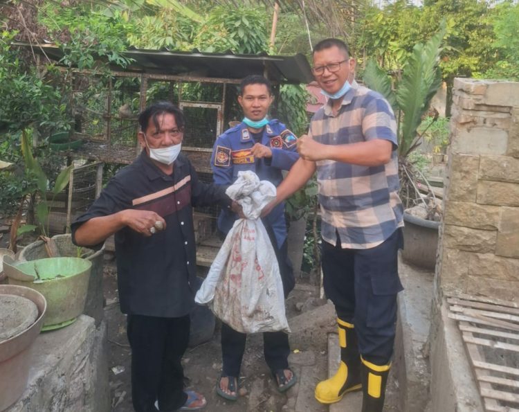 Dua Hari Bikin Kacau, Berang-Berang Santap Ikan dan Usir Itik dari Kandang