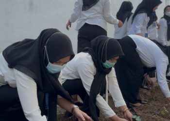 Dari Lahan Lapas Jadi Ladang Skill, WBP Kalianda Belajar Tanam Cabai