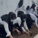 Dari Lahan Lapas Jadi Ladang Skill, WBP Kalianda Belajar Tanam Cabai