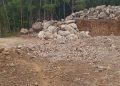 Warga Way Tuba Soroti Debu Kendaraan Tambang, Tanaman di Sekitar Lokasi Disebut Terdampak