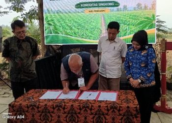 KDKMP Singkong Pringsewu Diperkuat, Potensi Kerja Sama Bisnis Rp6,24 Miliar