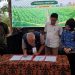 KDKMP Singkong Pringsewu Diperkuat, Potensi Kerja Sama Bisnis Rp6,24 Miliar