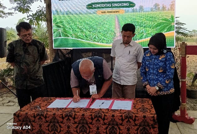 KDKMP Singkong Pringsewu Diperkuat, Potensi Kerja Sama Bisnis Rp6,24 Miliar