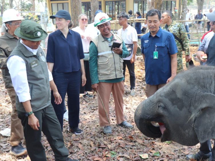 TN Way Kambas Perkuat Pembatas Kawasan, 150–170 Gajah Jadi Fokus Perlindungan