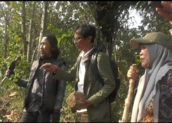 Tanah Hitam Keratuan Balaw Dikaitkan dengan Jejak Perang Dahsyat Ratu Lengkara