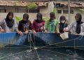 Lapas Kalianda Dorong WBP Miliki Keterampilan Produktif Lewat Budidaya Perikanan