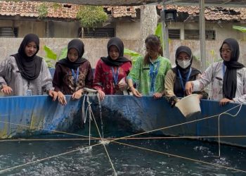 Lapas Kalianda Dorong WBP Miliki Keterampilan Produktif Lewat Budidaya Perikanan