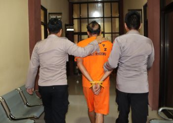 Pelarian Berakhir di OKI, DPO Sindikat Pencurian Sapi Pringsewu Dibekuk