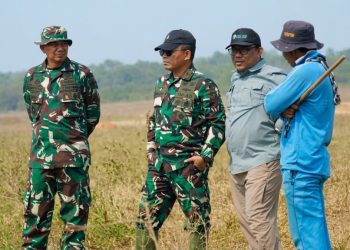 Tim Thailand Turun Tangan, Gajah Way Kambas Mulai Dilatih Hidup Bebas Berkelompok